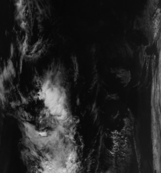 Ziao Oliver Wang