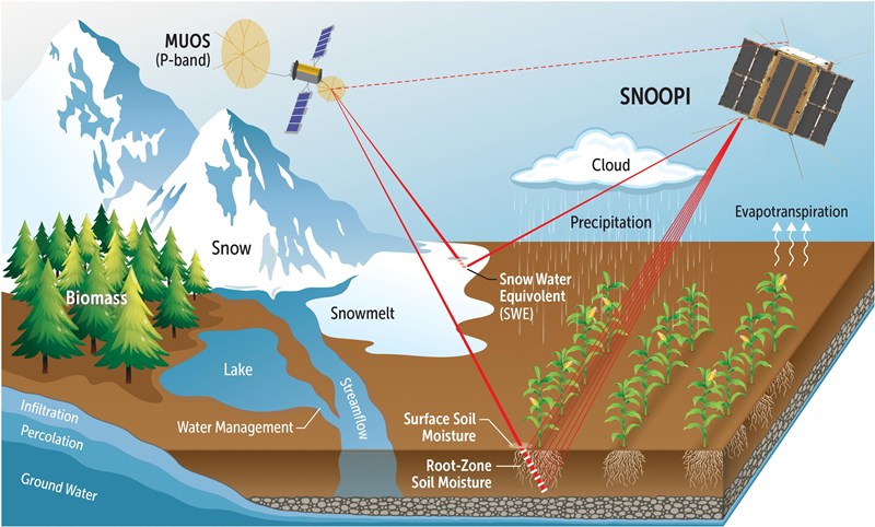 SNOOPI
