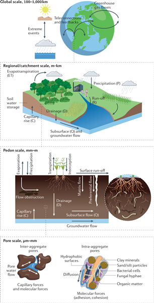 Soil_Cycle